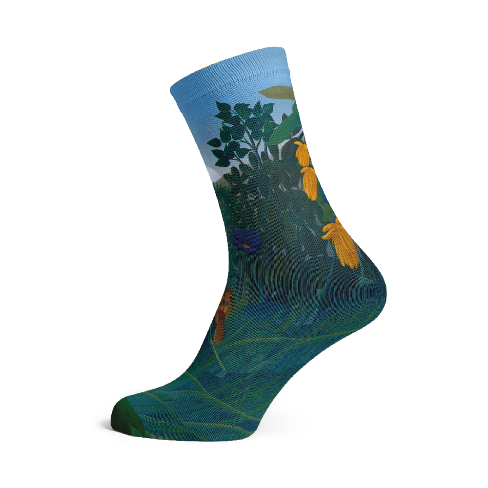 Socks by Rousseau