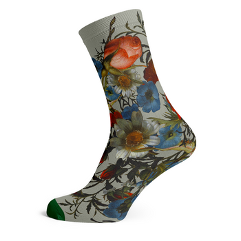 Socks by Ruysch