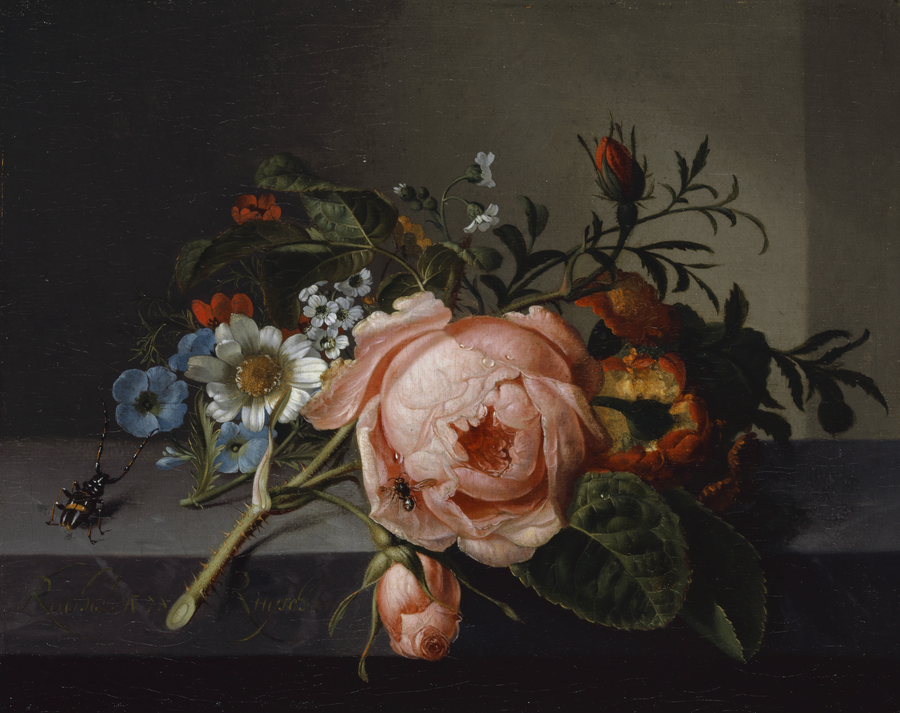 Socks by Ruysch